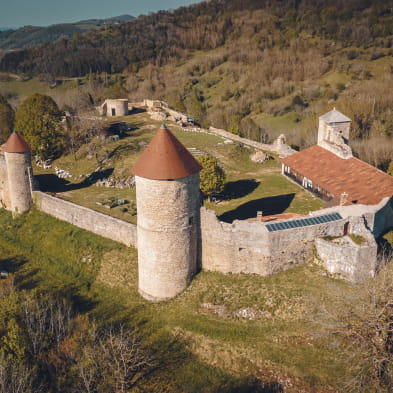 Château de Chevreaux