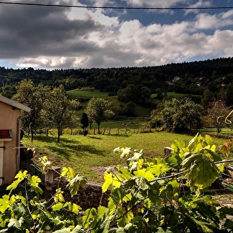 Gîte La Vigne - CHARIX