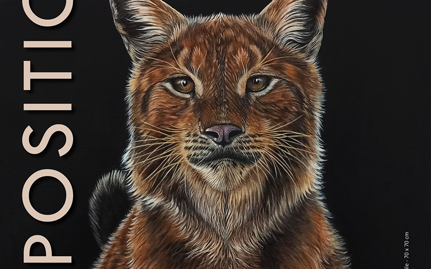 Tentoonstelling wilde dieren