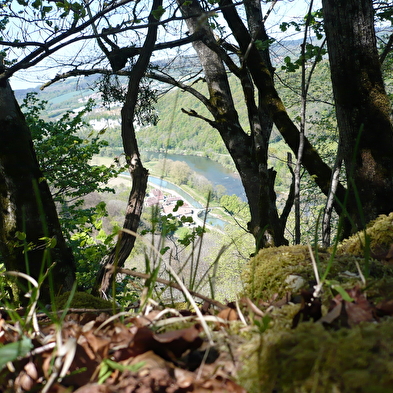 Circuit de randonnée pédestre - le mont dommage