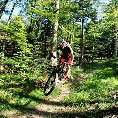 Piste VTT Enduro 3 rouge - Le Trou de la Marmite - Espace FFC Ain Forestière