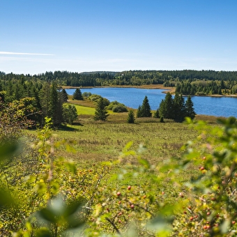 Tour des Lacs - BELLEFONTAINE