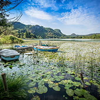 Lac de Barterand, ENS de l'Ain - POLLIEU