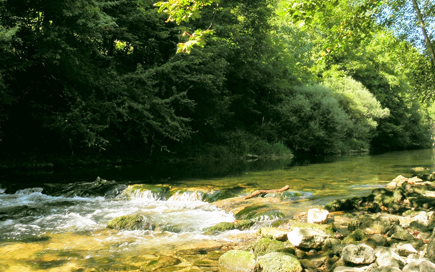 Pêche sur l'Albarine