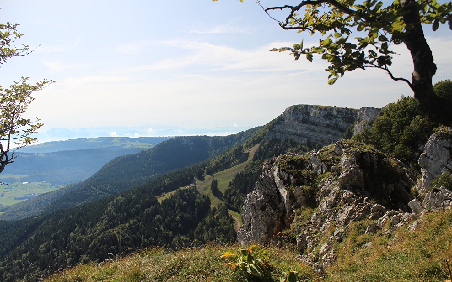 De Mont d'Or - Een schat aan biodiversiteit
