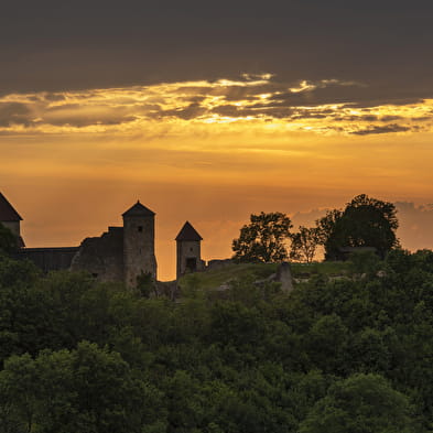 Château de Chevreaux