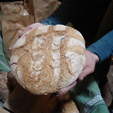 Brood workshop
