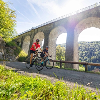 De demonische brug - Kringloop 01 - HAUTS DE BIENNE