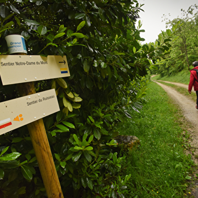 Sentier du Ruisseau