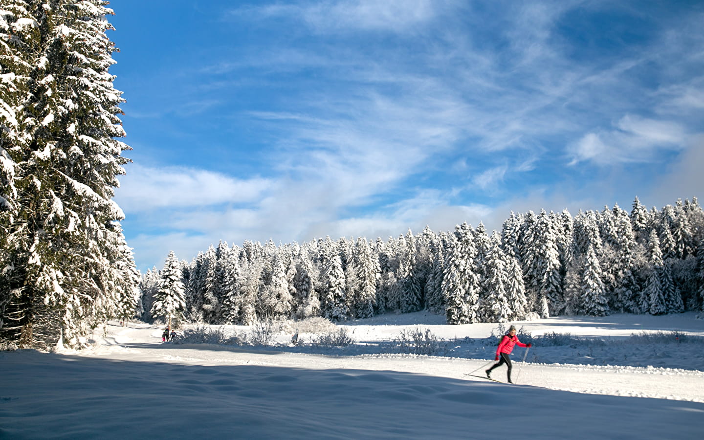 Valorse - Piste rouge de ski nordique