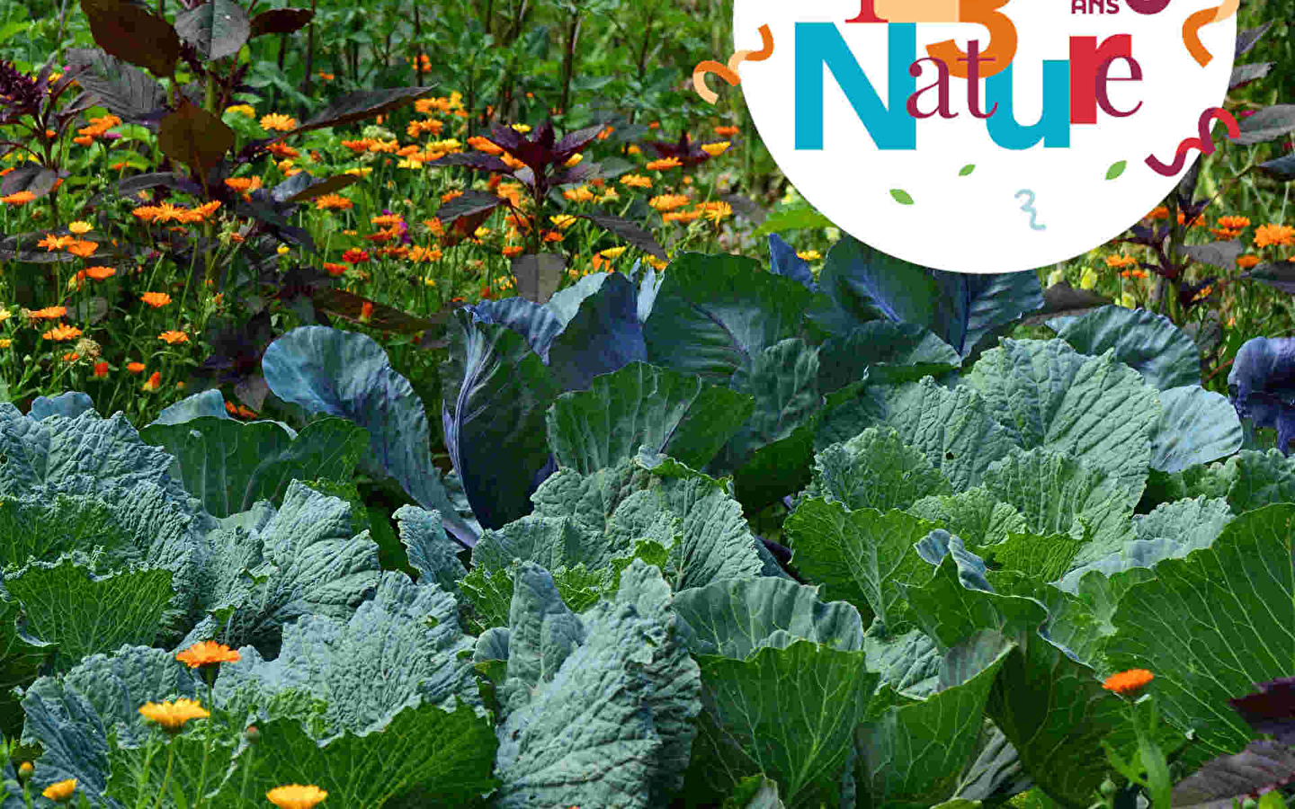 123 NATUUR GEZINSWORKSHOP: BLOEMEN VAN TUIN TOT BOEKET