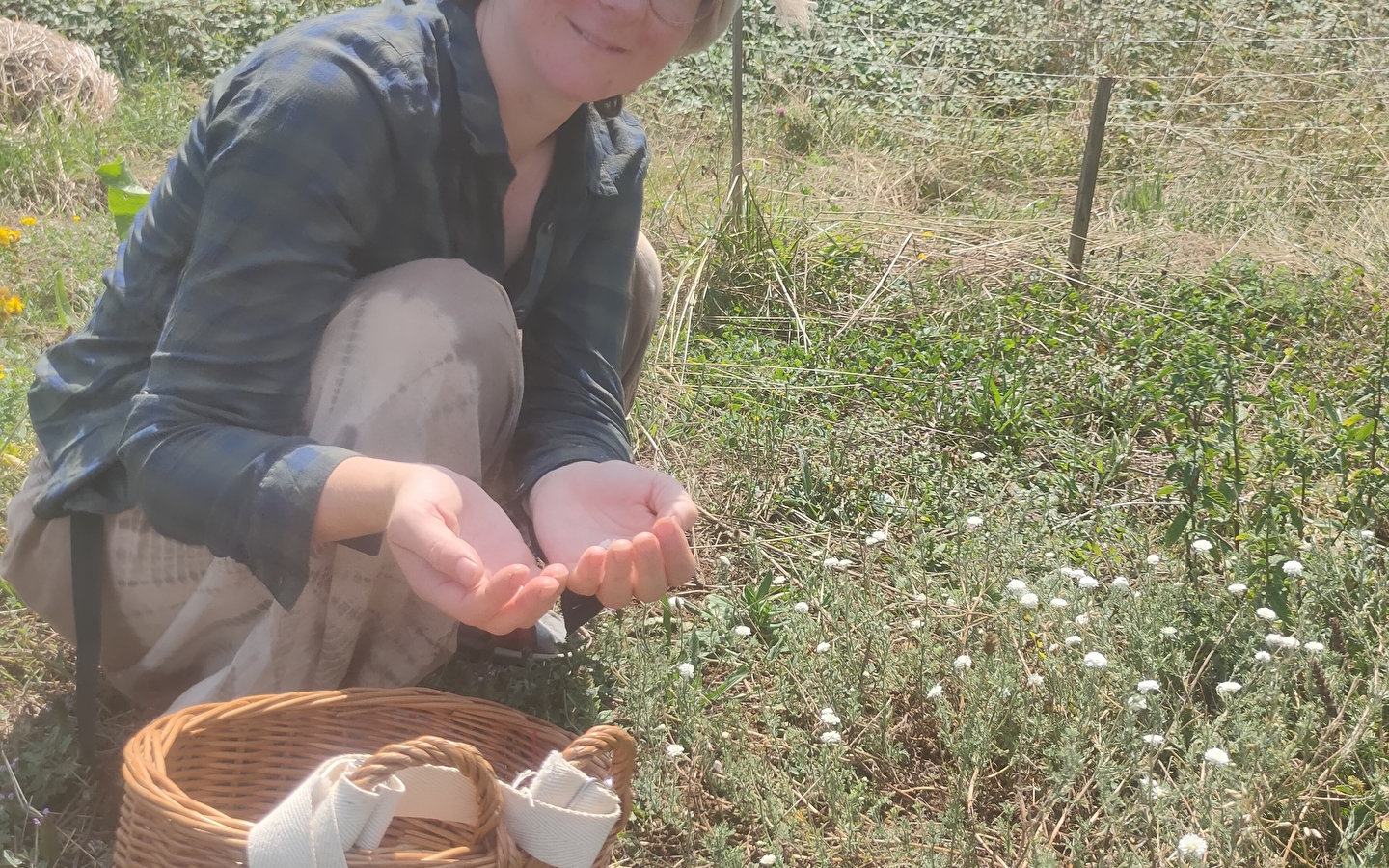 Tisanes et Bourgeons