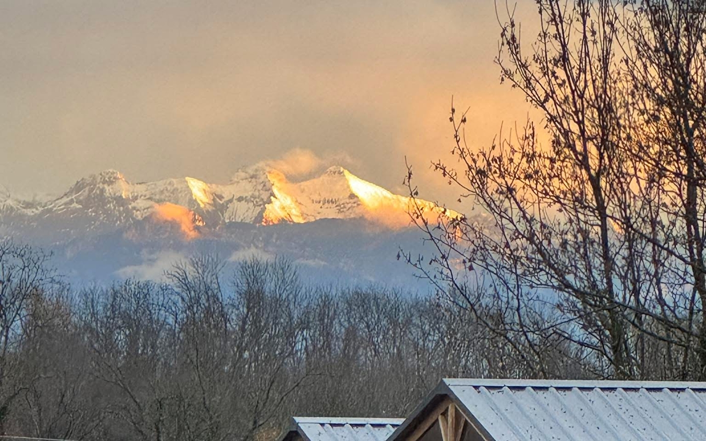 Camping Domaine les Genêts