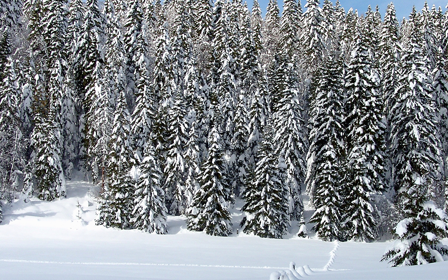 Site Nordique de Belleydoux