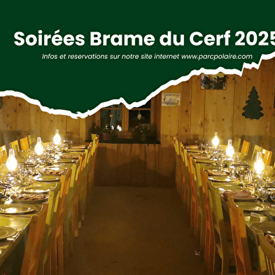 Hertenbrullende avonden 2025