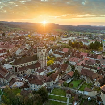 Ontdek uw zintuigen in het hart van de Jura - FAY-EN-MONTAGNE