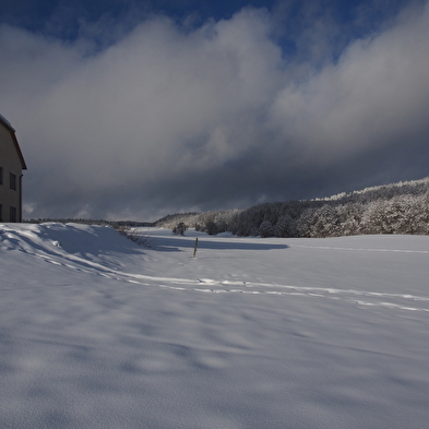 La Ferme des Taillis