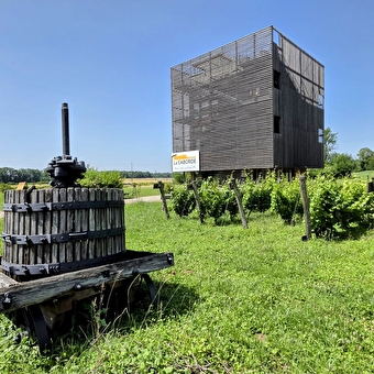 La Caborde - BEAUFORT-ORBAGNA