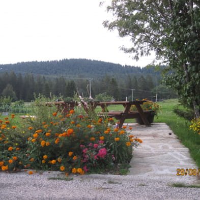 Gîte n°G804