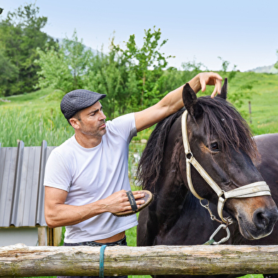 Balade en calèche privatisée, fin de journée l'été