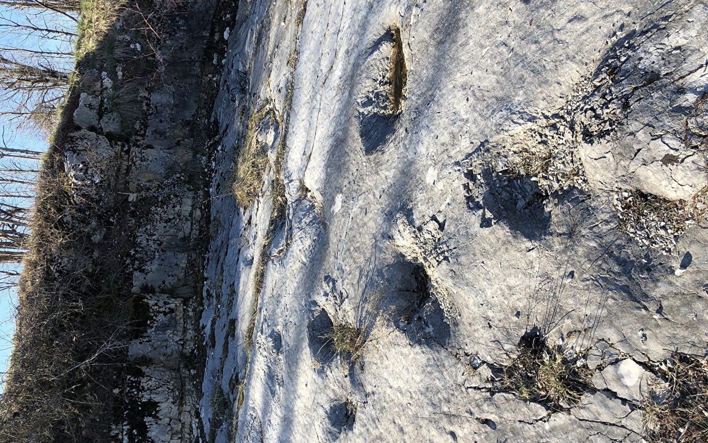 Traces de dinosaures au Petit-Abergement