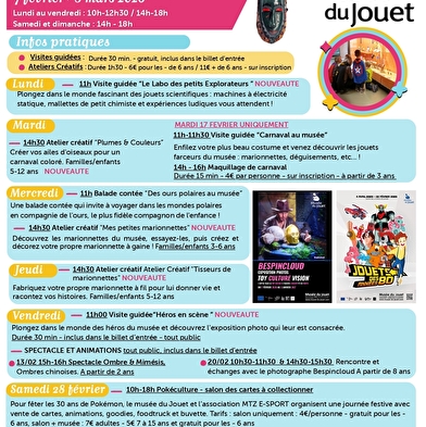 Verhalentocht 'IJsberen in het museum