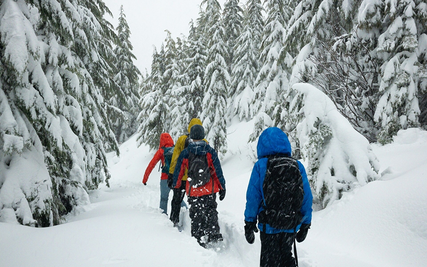 Skischool Haut-Jura - Lajoux : Nacht sneeuwschoenwandelen