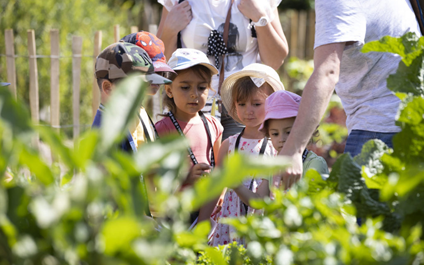 Lente workshops