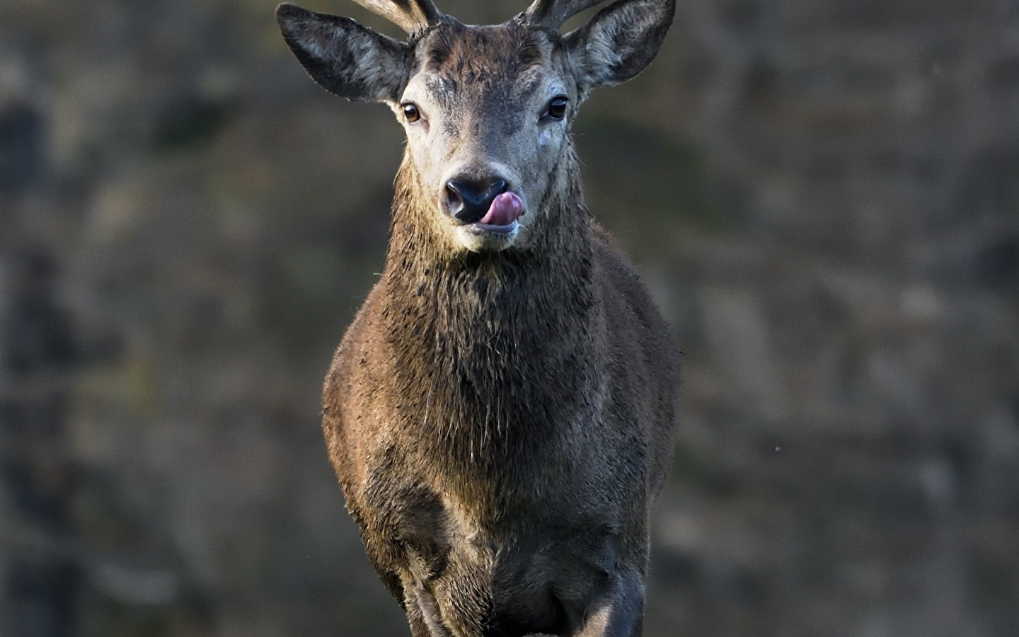 Foto's in een oogopslag - Favorieten 