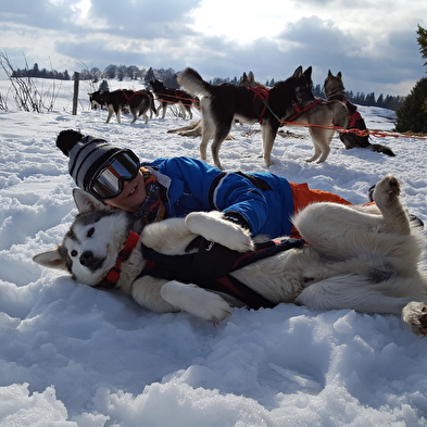 Baptême en traîneau à chiens avec Qimmiq