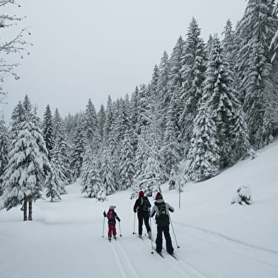 Piste de ski de fond : La Alain Girod