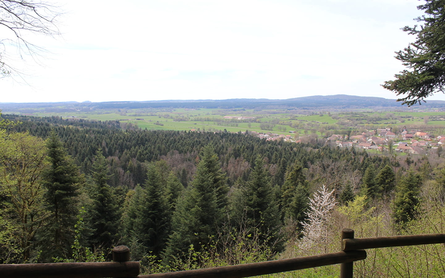 Route des sapins