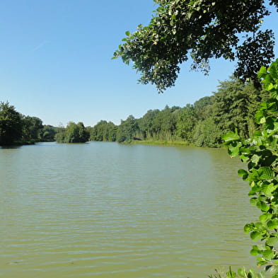 Le bocage de Cormoz - Etang de Mépillat (VTT)