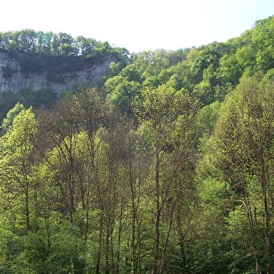 Val de Cusance (via het Saint-Erminfroi kruis)