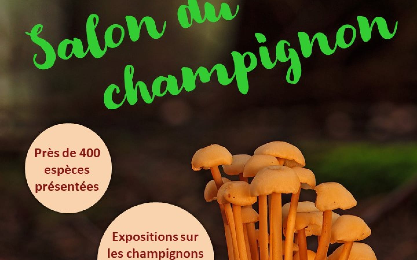 Salon du champignon