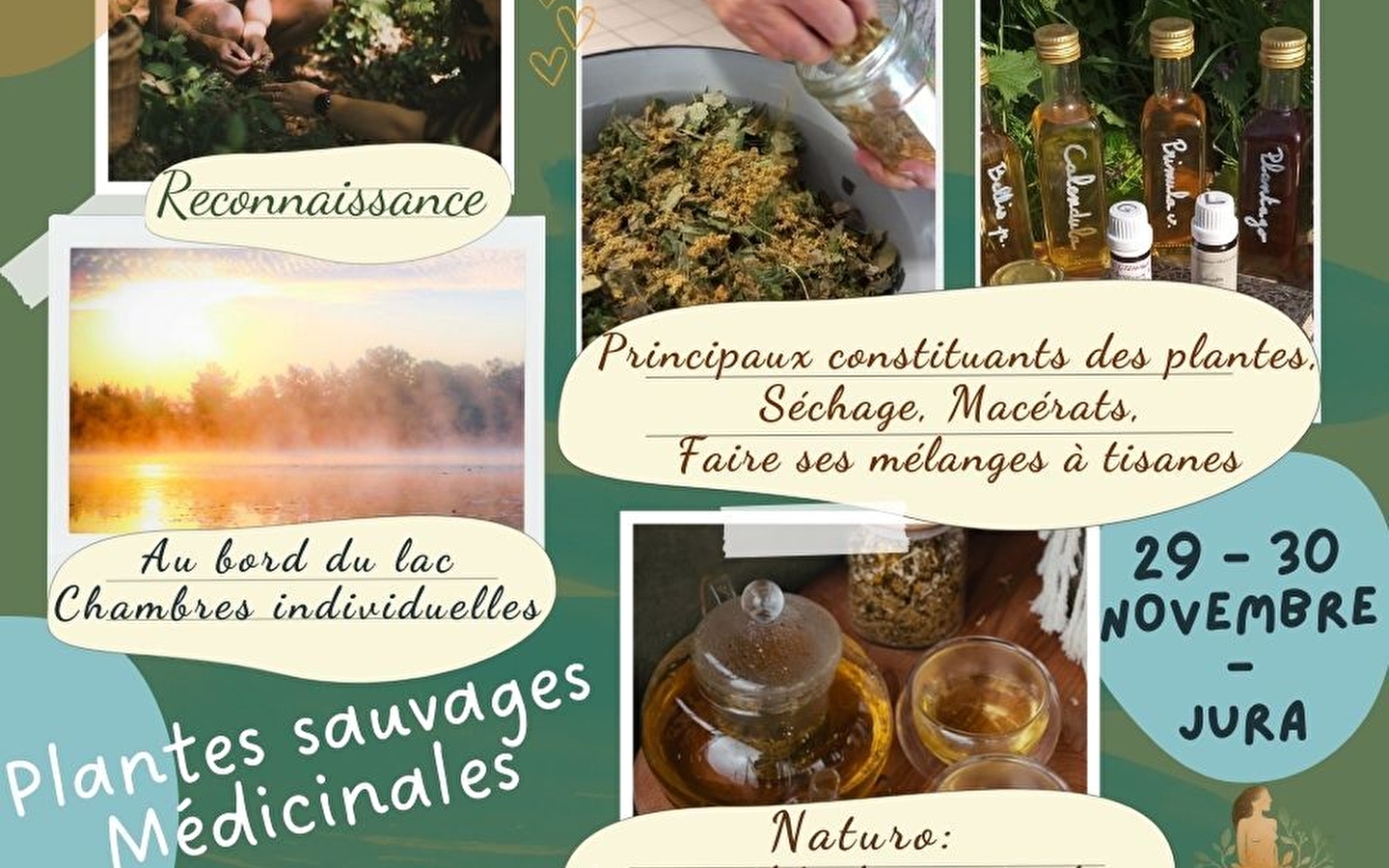 Planten in de winter: licht inademen en cultiveren