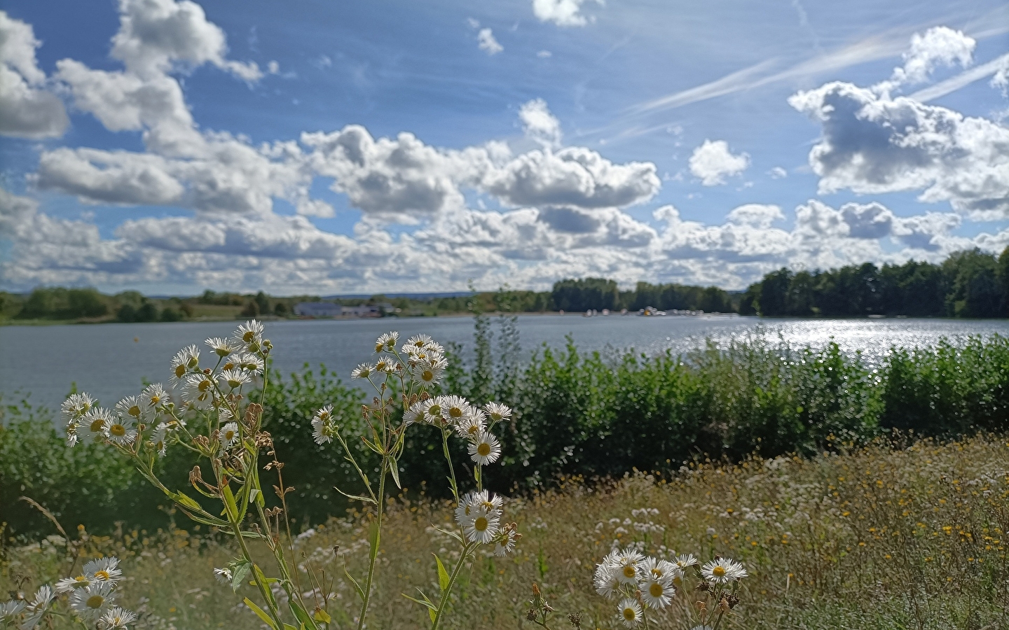 Vijvers, kanalen en mijlpalen circuit