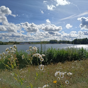 Vijvers, kanalen en mijlpalen circuit - BROGNARD