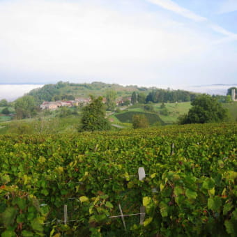 GAEC Philippe Balivet - MERIGNAT