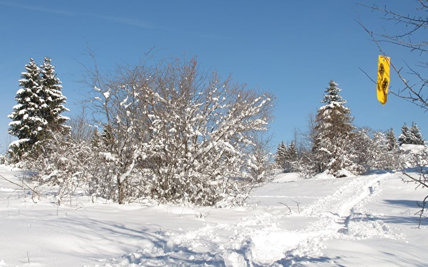 Sneeuwschoenwandelingen - Lac-des-Rouges-Truites