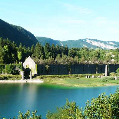 Haut-Bugey - van de prehistorie tot de 20e eeuw