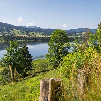De lus van Grand Tétras - Fietsroute 12 - LONGCHAUMOIS