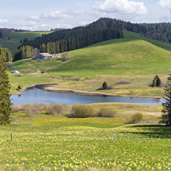 Lac de l'Embouteilleux - LA PESSE