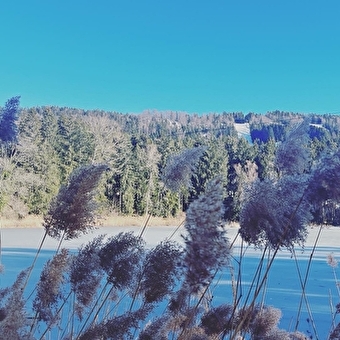 Meublé Athena - PLATEAU D'HAUTEVILLE