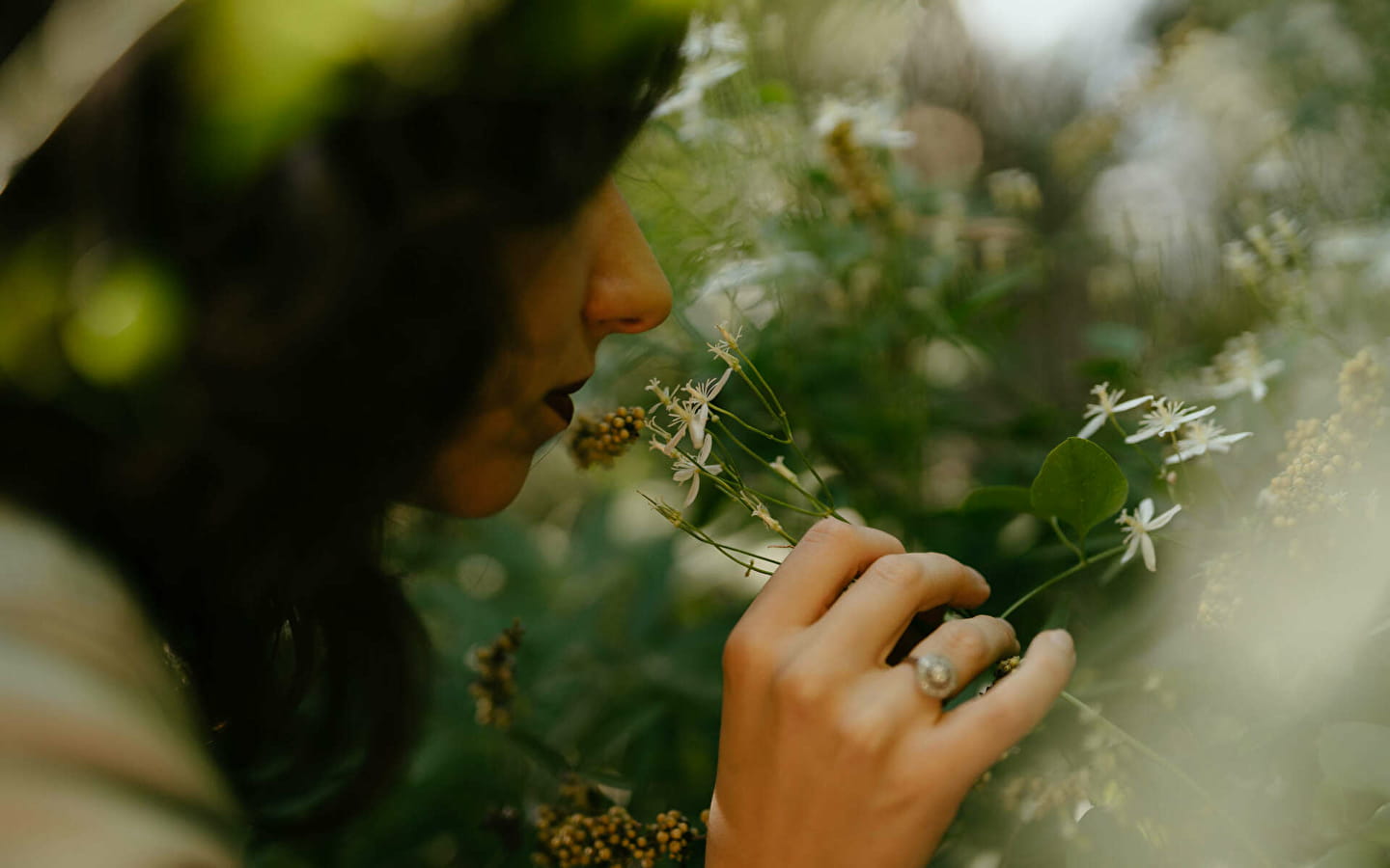 La bulle à parfums & jardin parfumé