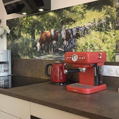 Gîte au Mouton d'Amédée