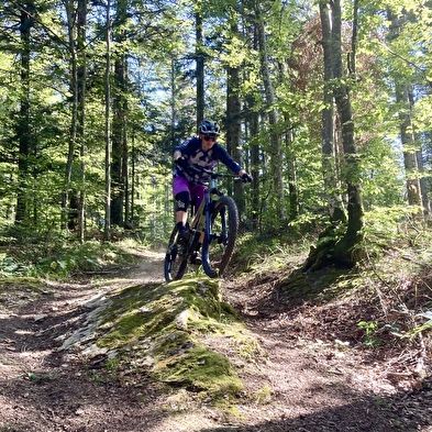 Piste VTT Enduro 3 rouge - Le Trou de la Marmite - Espace FFC Ain Forestière