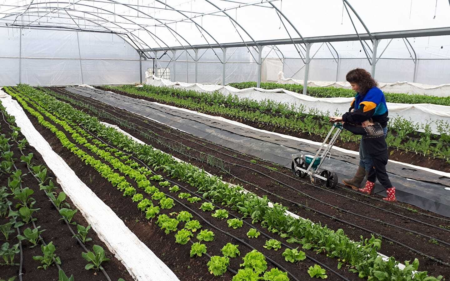 Route des Savoir-faire bezoek en proeverij: La Ferme du Ruisseau