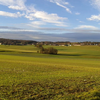 Op het plateau van Ajoie 