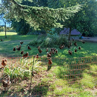 La Ferme du Mont - oeufs, lentilles et viande bovine Aubrac